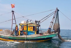 Nghệ An: Kiểm ngư kiểm tra, xử phạt 4 tàu cá vi phạm vùng đánh bắt