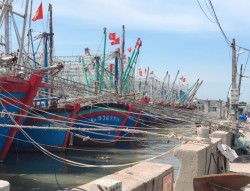 Nghệ An: Công bố mở cảng cá Quỳnh Phương và cảng cá Cửa Hội
