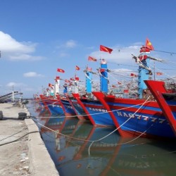 Nghệ An: Công khai hạn ngạch giấy phép khai thác thủy sản
