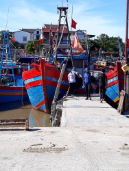 Công tác thẩm định định kỳ an toàn thực phẩm tàu cá tại huyện Diễn Châu