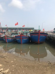 Công tác thẩm định điều kiện đảm bảo an toàn thực phẩm tàu cá có chiều dài từ 15m trở lên tại thị xã Hoàng Mai và huyện Diễn Châu