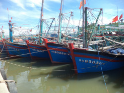 Tăng cường công tác quản lý tàu cá để nâng cao hiệu quả chống khai thác IUU