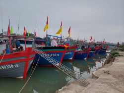 Công tác thẩm định định kỳ điều kiện đảm bảo ATTP tàu cá có chiều dài lớn nhất từ 15m trở lên tại các xã, phường thị xã Hoàng Mai