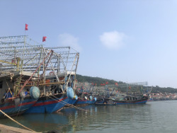 Công tác thẩm định điều kiện đảm bảo an toàn thực phẩm tàu cá có chiều dài từ 15m trở lên tại thị xã Hoàng Mai