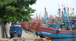 Công tác thẩm định điều kiện đảm bảo an toàn thực phẩm tàu cá có chiều dài từ 15m trở lên tại huyện Diễn Châu
