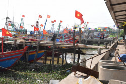 Ô nhiễm, xuống cấp trầm trọng ở cảng cá