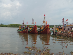 Thực trạng khai thác thủy sản kiểu tận diệt tại Nghệ An