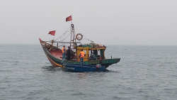 Kiểm tra xử phạt hành chính 07 tàu cá vi phạm trên biển
