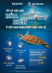 Poster Bảo vệ rùa biển