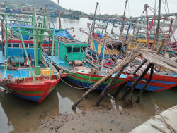 Chi cục Thủy sản và Kiểm ngư tổ chức kiểm tra thực tế tình hình  tàu cá “03 không” tại xã Tiến Thủy, huyện Quỳnh Lưu
