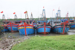 Nghệ An: Cập nhật danh sách tàu cá có nguy cơ cao vi phạm khai thác IUU đến ngày 06/5/2025