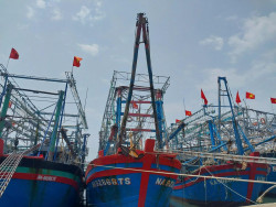 Nghệ An quyết liệt ngăn chặn khai thác hải sản bất hợp pháp