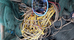 Đẩy mạnh thực thi pháp luật, tuyên truyền, phổ biến công tác bảo tồn đa dạng sinh học và bảo vệ các loài hoang dã