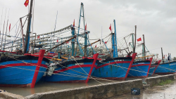 Tập trung lãnh đạo, chỉ đạo thực hiện Hệ thống truy xuất nguồn gốc thuỷ sản khai thác điện từ (eCDT và Nhật ký khai thác thủy sản điện tử, Nhật ký thu mua, chuyển tải thủy sản điện tử (elogbook)