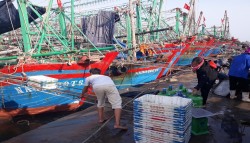 Tổ công tác liên ngành thanh tra,kiểm soát nghề cá tại cảng cá Lạch Quèn tham mưu Chi cục Thủy sản Nghệ An xử phạt 02 chủ tàu cá vi phạm hành chính trong khai thác thủy sản