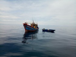 Tiếp tục xử phạt 03 phương tiện vi phạm về khai thác thủy sản trên vùng biển ven bờ, vùng lộng tỉnh Nghệ An