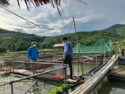 Điều tra, thu thập số liệu xây dựng Chương trình phát triển kinh tế thủy sản tỉnh Nghệ An giai đoạn 2021 - 2025, định hướng đến năm 2030