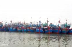 Chi cục Thủy sản tổ chức rà soát, thống kê tàu cá trên địa bàn tỉnh