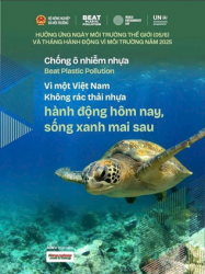 Vi nhựa trong hải sản: Từ đại dương đến bàn ăn