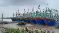 Giá xăng dầu tăng cao: Ngư dân chật vật vươn khơi