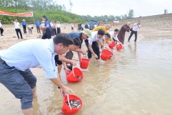 LỄ THẢ CÁ TÁI TẠO NGUỒN LỢI THỦY SẢN NĂM 2026 TẠI XÃ PHÚC LỘC