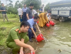 Thả giống tái tạo nguồn lợi thủy sản: Thả sao cho đúng, cho hiệu quả bền vững?